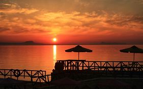 Alkionis Beach Hotel Apartments