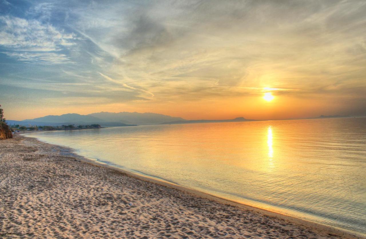 Alkionis Beach Hotel Apartments Sfáka Zewnętrze zdjęcie